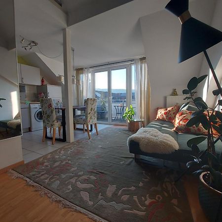 Ruhiges & Zentrales Loft In Loerrach Apartment Ngoại thất bức ảnh