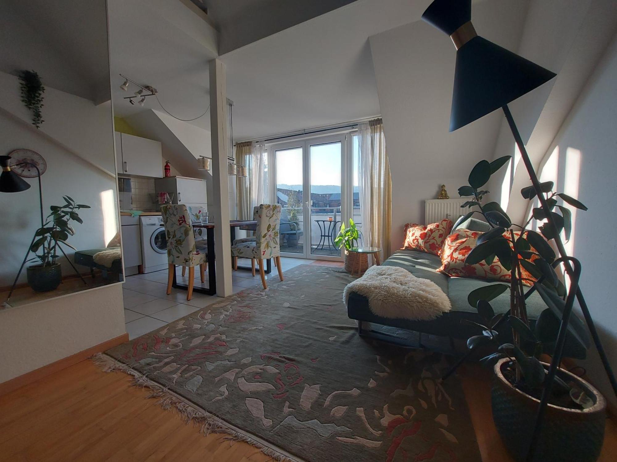 Ruhiges & Zentrales Loft In Loerrach Apartment Ngoại thất bức ảnh